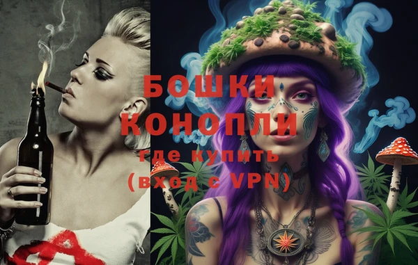 spice Медвежьегорск