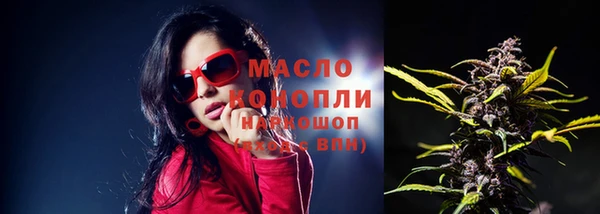 дмт Медногорск