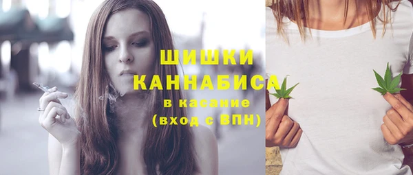 дмт Медногорск
