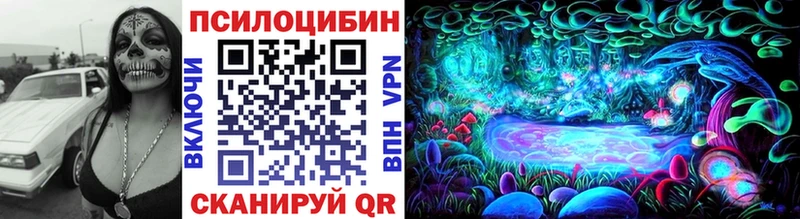 Псилоцибиновые грибы Psilocybe  KRAKEN как войти  Жирновск 